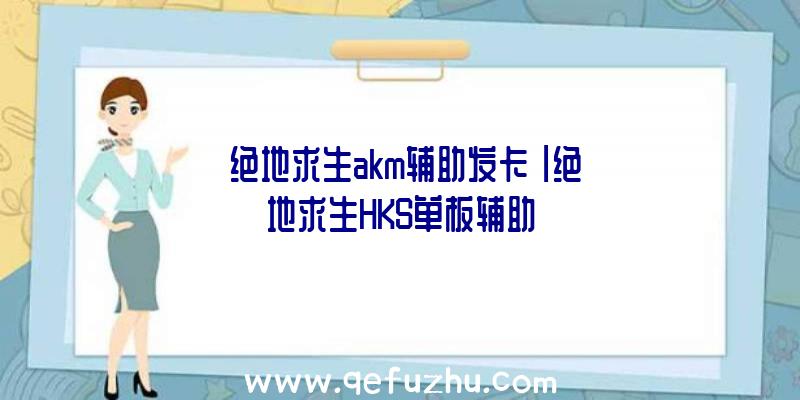 「绝地求生akm辅助发卡」|绝地求生HKS单板辅助